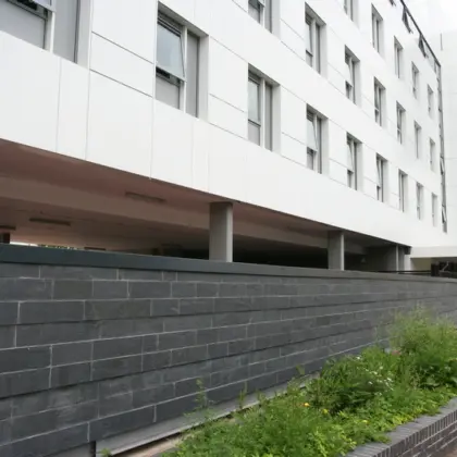 Welsh Slate Walling 13
