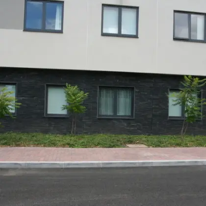 Welsh Slate Walling 22