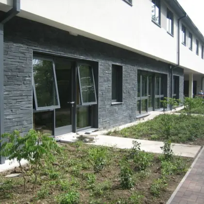 Welsh Slate Walling 24