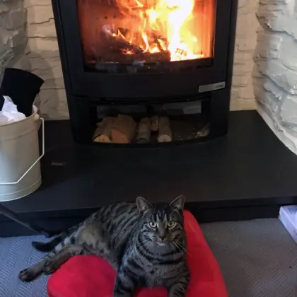 Italian Slate Hearth 4